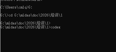 CLI 模式进入工作目录